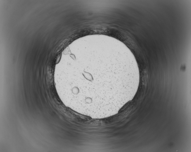 X0000115651298200912221322