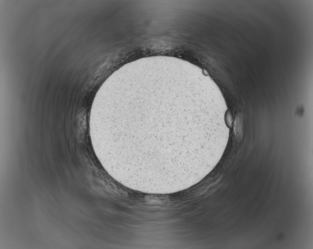 X0000115651299200912221322