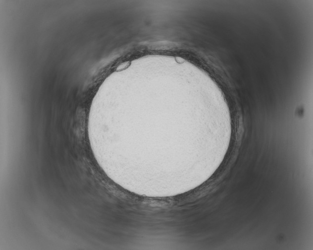 X0000115651301200912221322