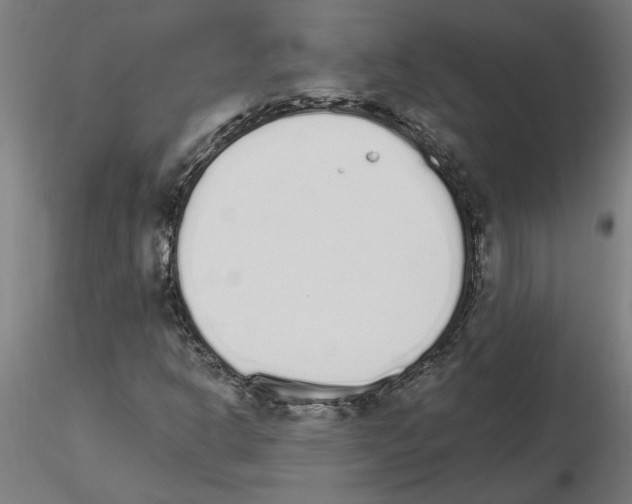 X0000115651302200912221322