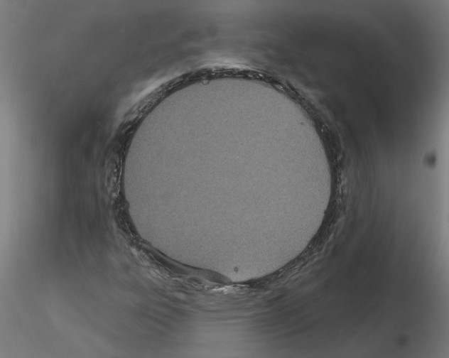 X0000115651303200912221322