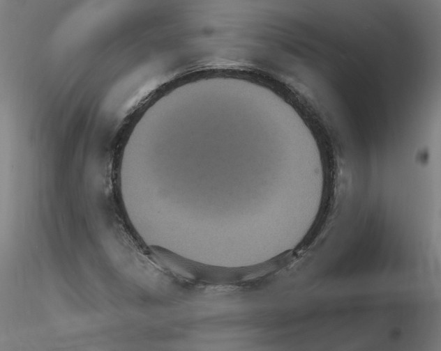 X0000115651306200912221322