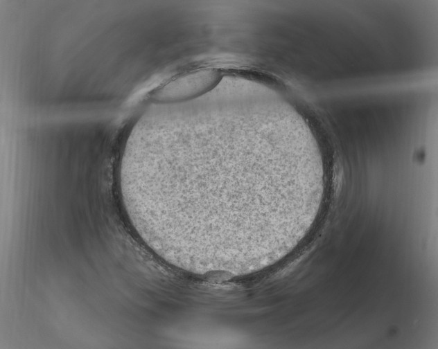 X0000115651309200912221323