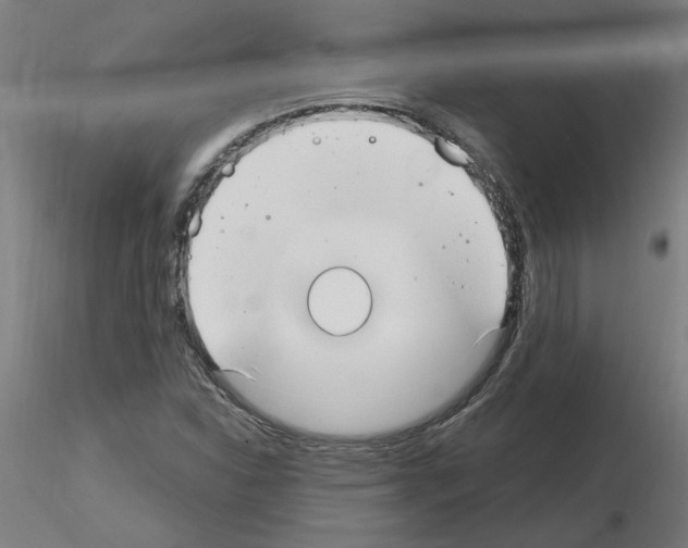 X0000115651310200912221323
