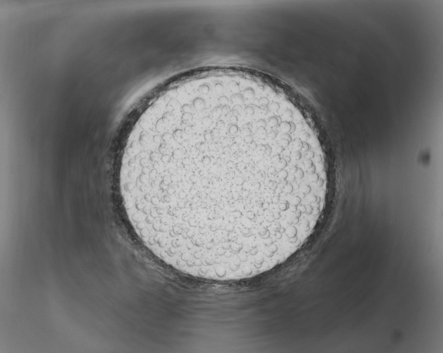 X0000115651311200912221323