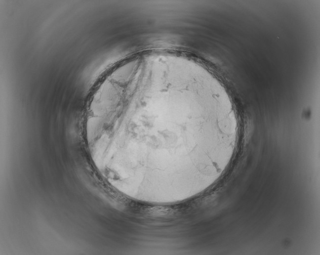X0000115651314200912221323