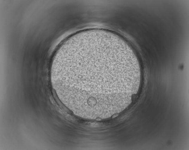X0000115651318200912221323