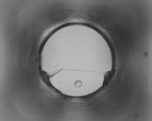 X0000115651319200912221323