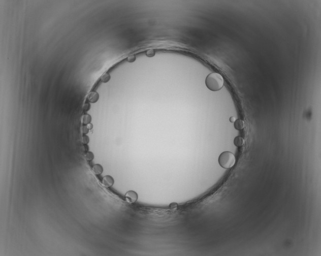 X0000115651322200912221323