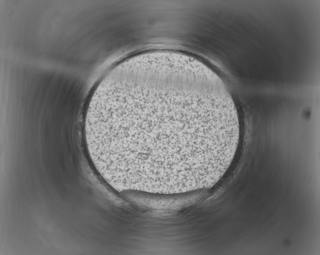X0000115651325200912221323