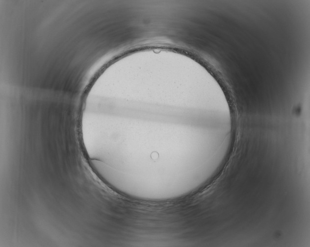 X0000115651326200912221323