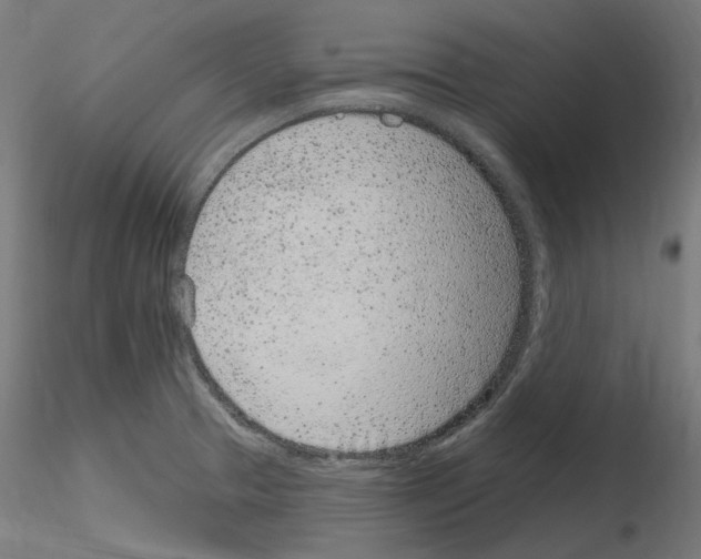 X0000115651329200912221323