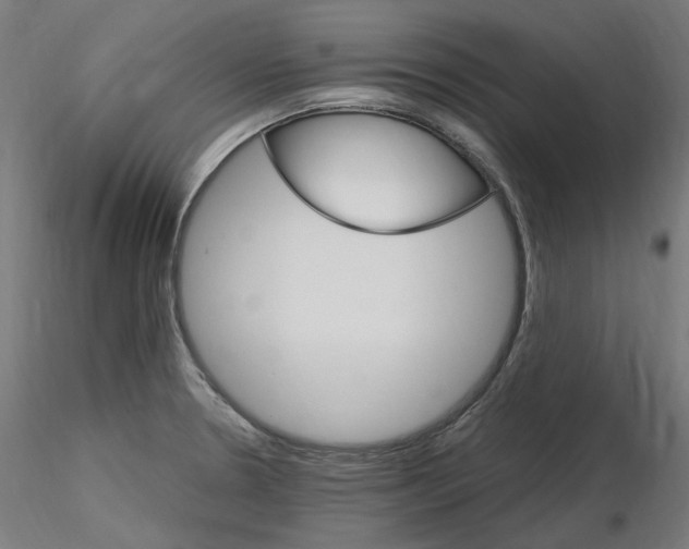 X0000115651330200912221323