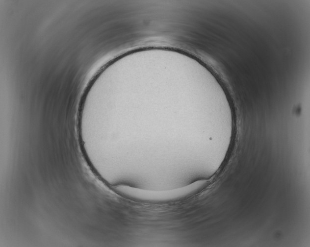 X0000115651334200912221323