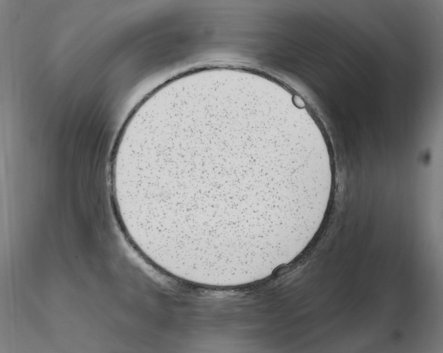 X0000115651335200912221323