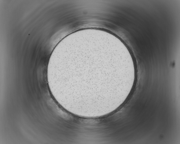 X0000115651337200912221323