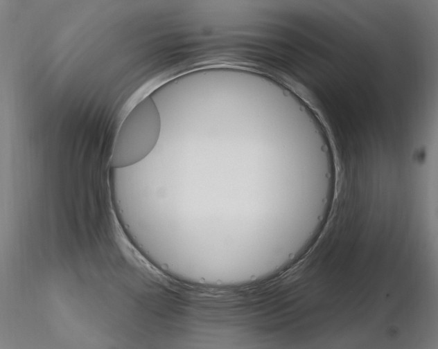 X0000115651338200912221323