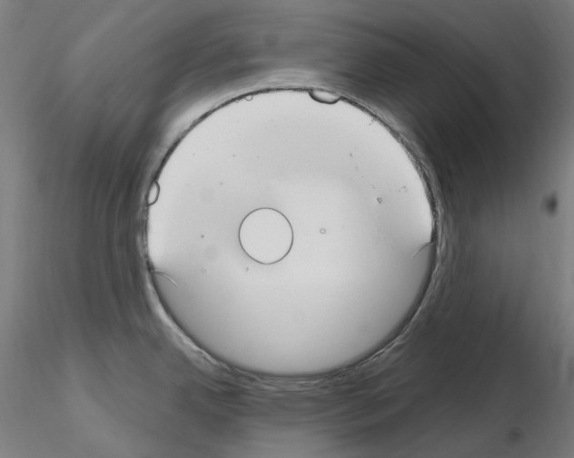 X0000115651342200912221323