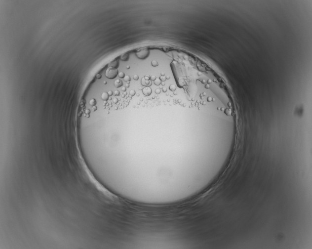 X0000115651343200912221323