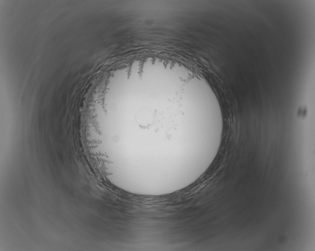 X0000115651345200912221322
