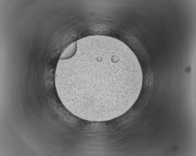 X0000115651346200912221322