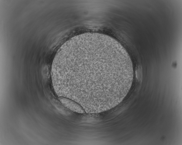 X0000115651347200912221322