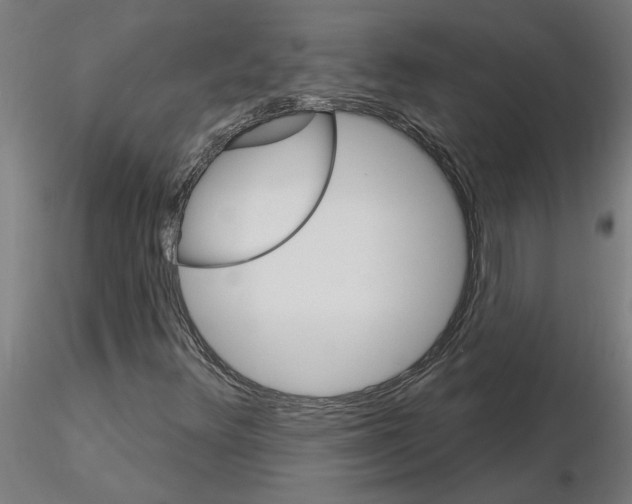 X0000115651348200912221322