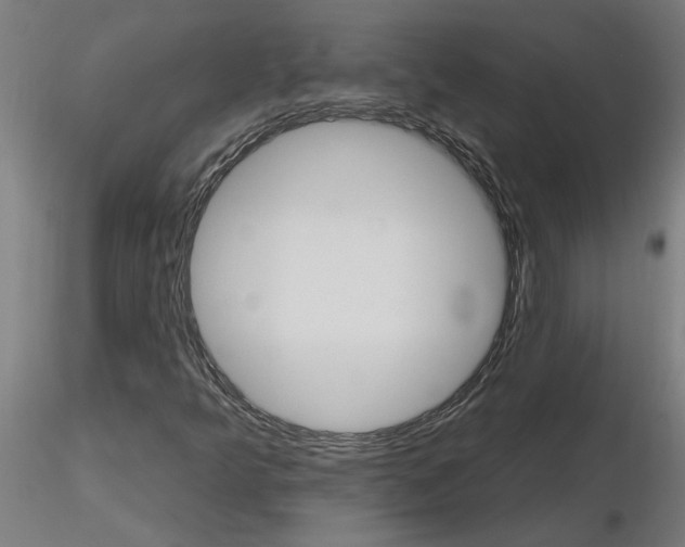 X0000115651349200912221322