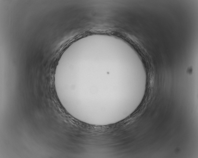 X0000115651350200912221322
