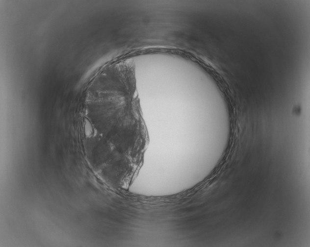 X0000115651351200912221322