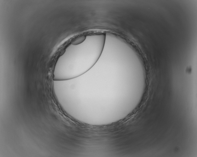 X0000115651352200912221322