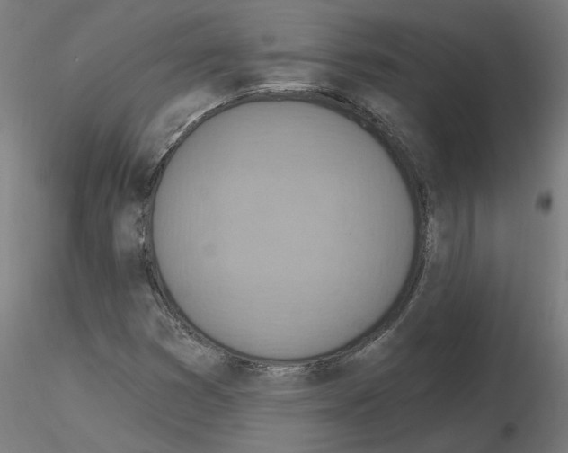 X0000115651353200912221322
