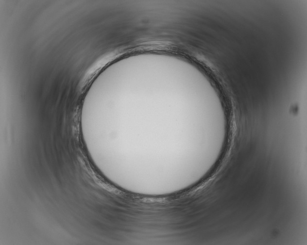 X0000115651354200912221322