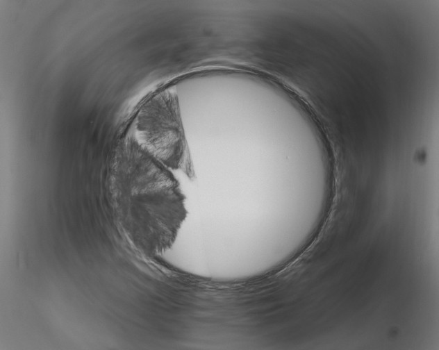 X0000115651355200912221322