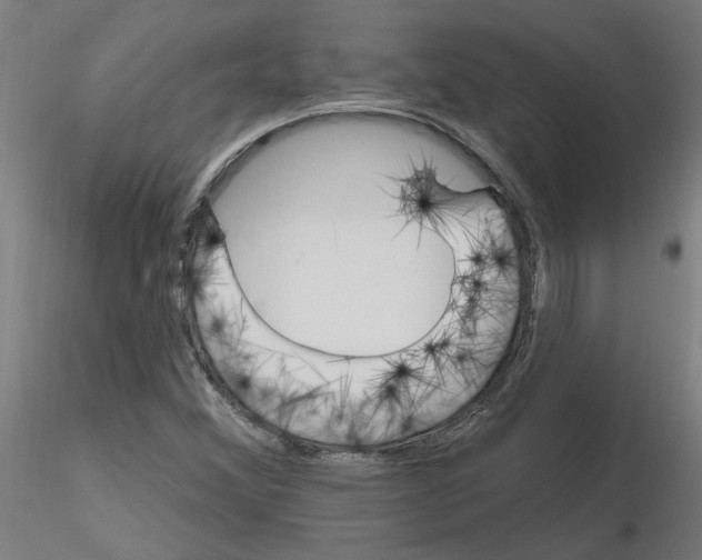 X0000115651356200912221322