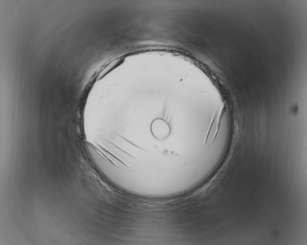 X0000115651357200912221322