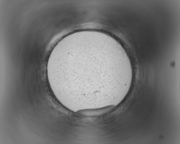 X0000115651358200912221322