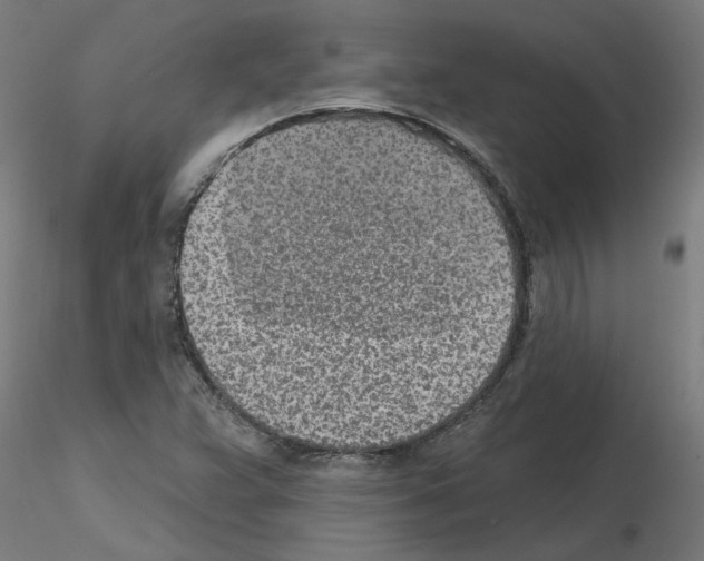 X0000115651359200912221322