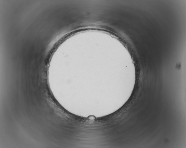 X0000115651360200912221322