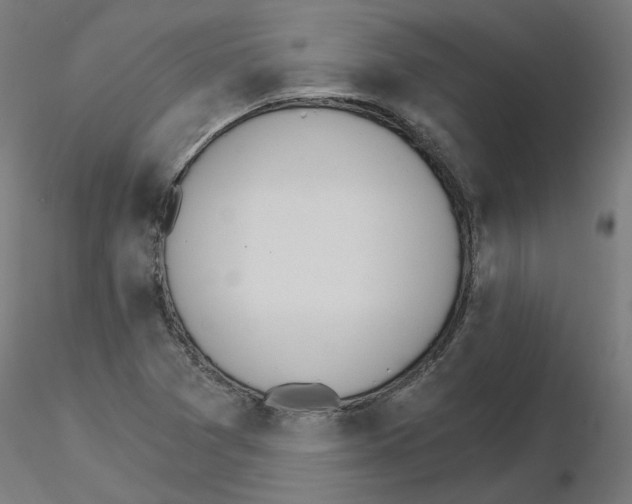 X0000115651361200912221322