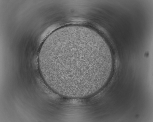 X0000115651362200912221322