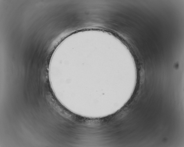 X0000115651363200912221322