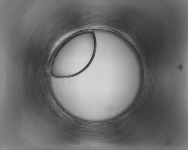 X0000115651364200912221322