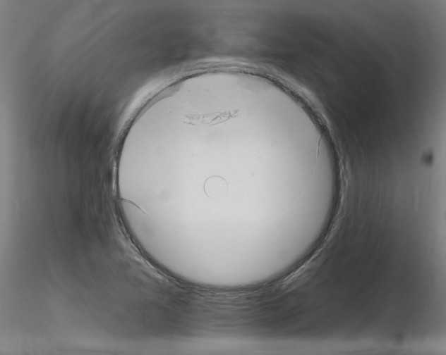 X0000115651365200912221322
