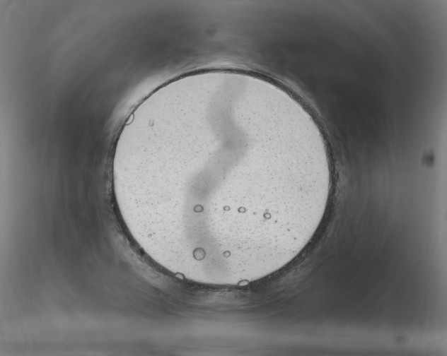 X0000115651367200912221322