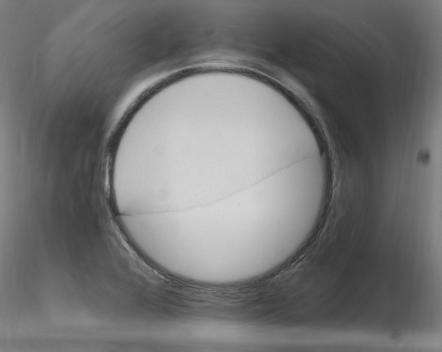 X0000115651368200912221322