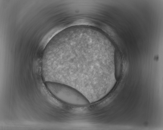 X0000115651369200912221322