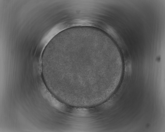 X0000115651370200912221322