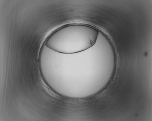 X0000115651372200912221322