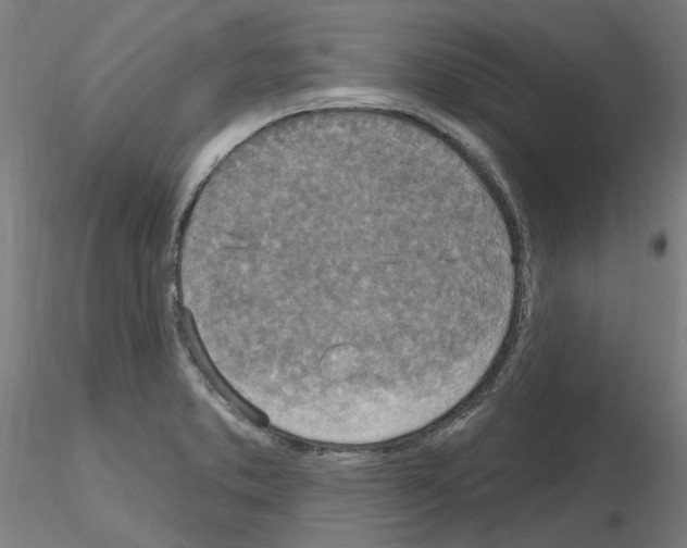 X0000115651373200912221322